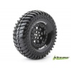 Louise RC OPONY CR-ARDENT 1.9 supersoft Crawler T3232VI